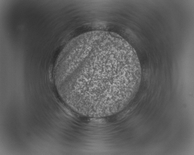 X0000073390185200608181013