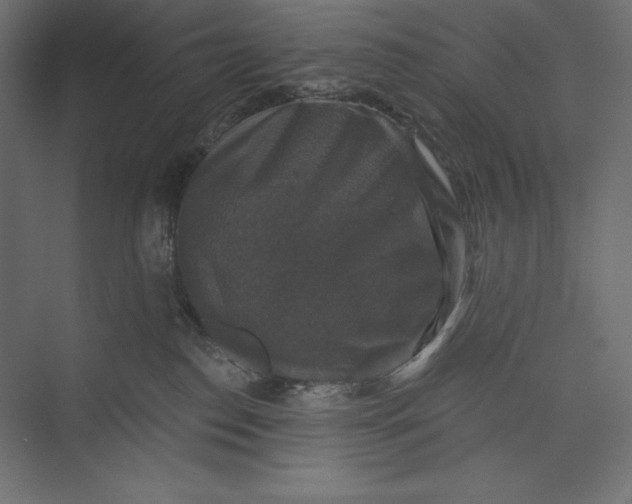 X0000073390186200608181013