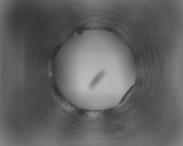 X0000073390187200608181013