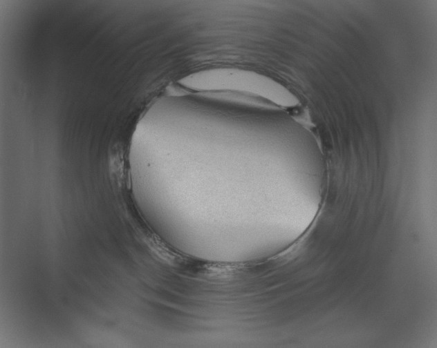 X0000073390190200608181013