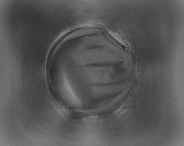 X0000073390196200608181012