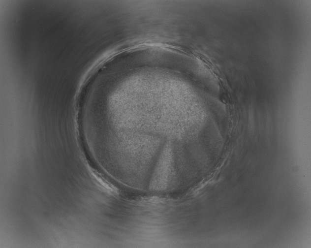 X0000073390197200608181012