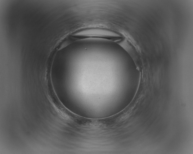 X0000073390201200608181012