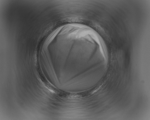 X0000073390202200608181012