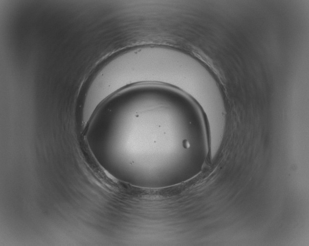 X0000073390203200608181012