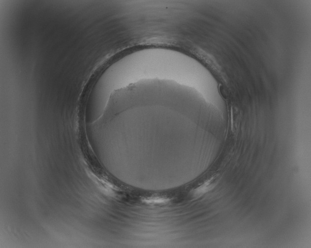 X0000073390204200608181012