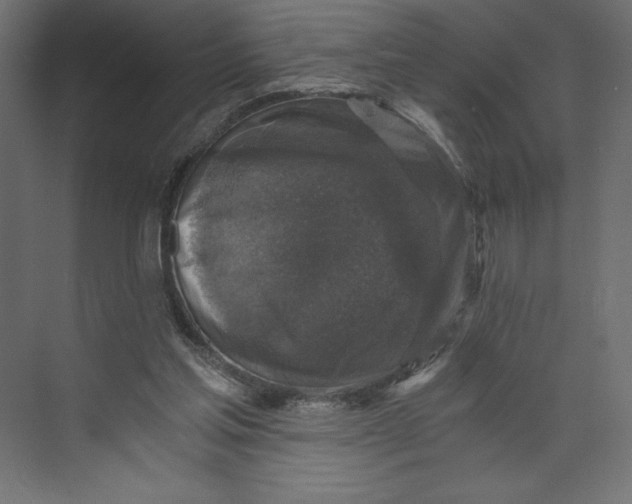 X0000073390205200608181012