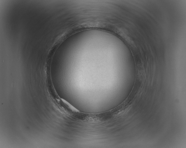 X0000073390207200608181012
