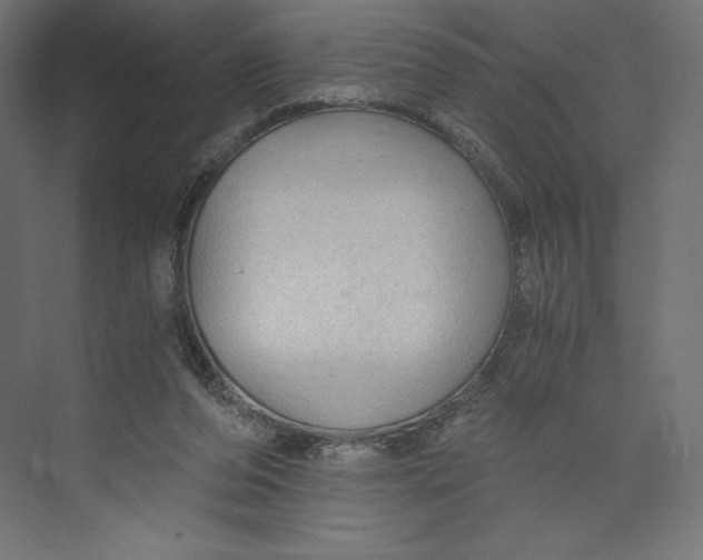 X0000073390208200608181012