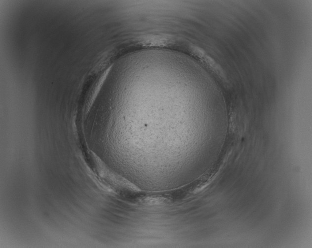 X0000073390209200608181012