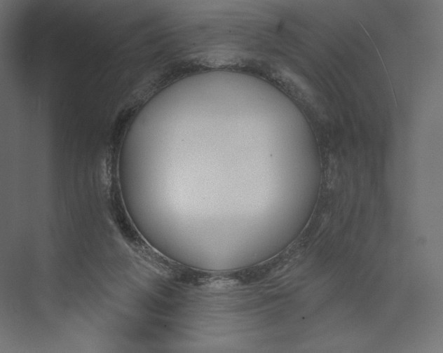 X0000073390210200608181012