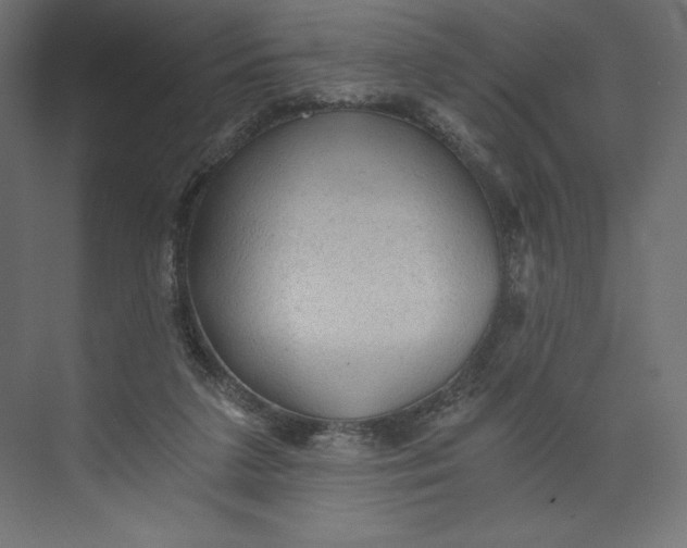 X0000073390211200608181012
