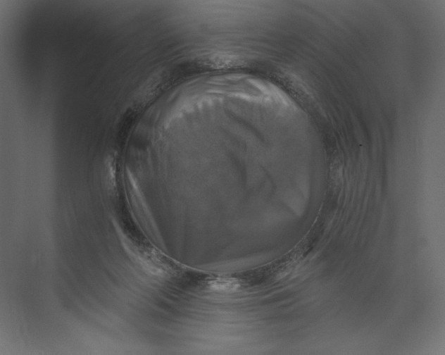 X0000073390214200608181012
