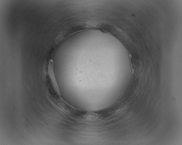 X0000073390215200608181012
