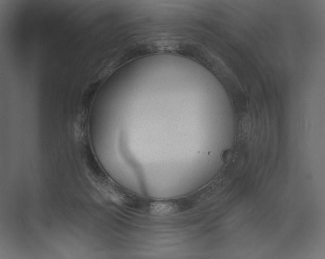 X0000073390218200608181012