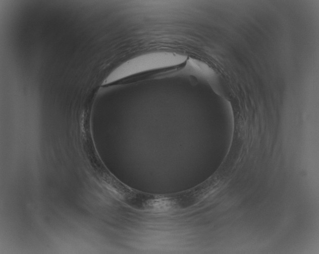 X0000073390219200608181012