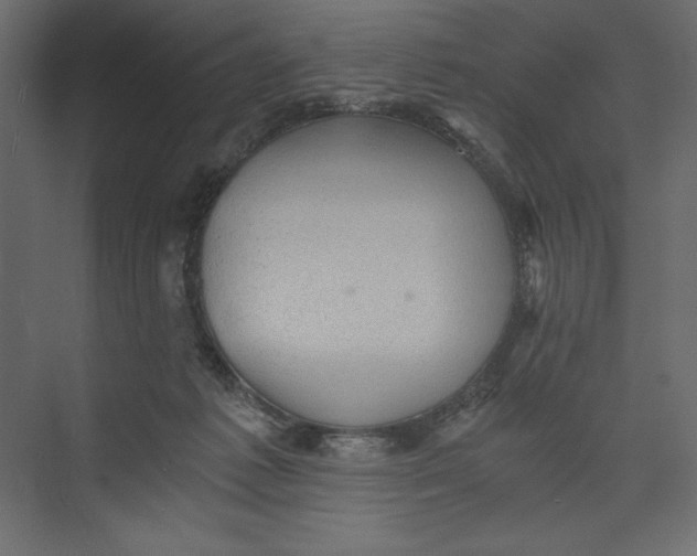 X0000073390221200608181012
