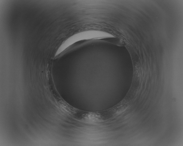 X0000073390223200608181012