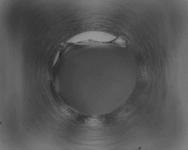 X0000073390224200608181012