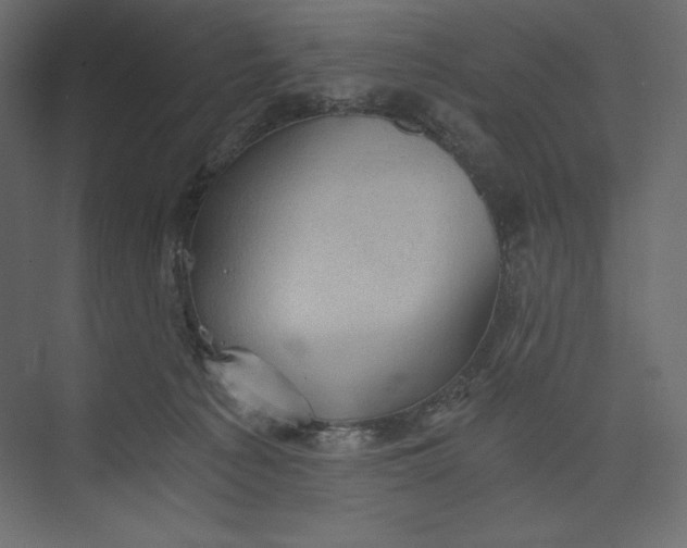 X0000073390225200608181012
