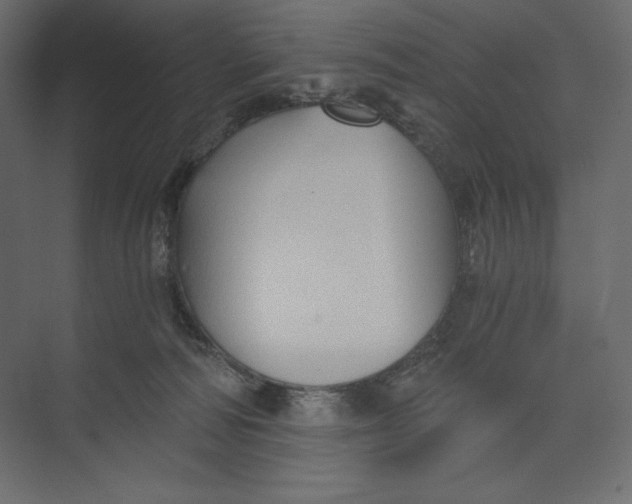 X0000073390226200608181012