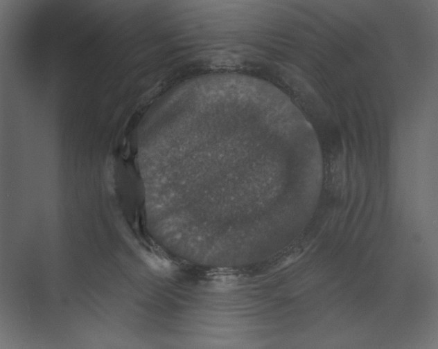 X0000073390228200608181012