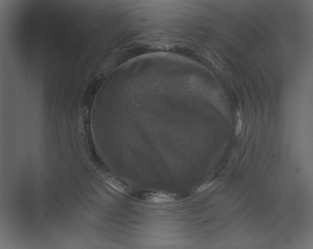 X0000073390229200608181011