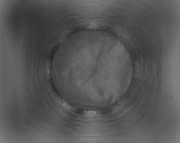 X0000073390230200608181011