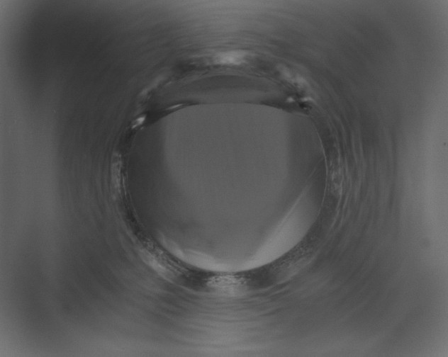 X0000073390231200608181011
