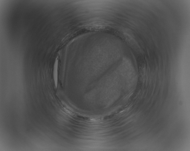 X0000073390232200608181011