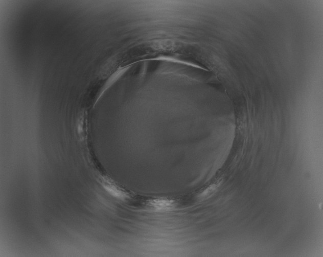 X0000073390233200608181011