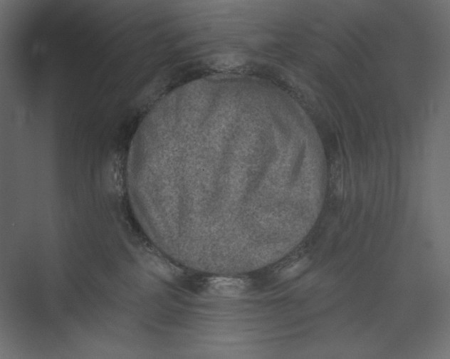X0000073390234200608181011