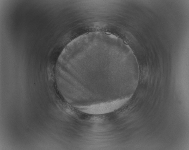 X0000073390236200608181011