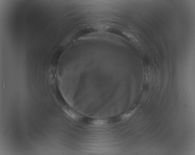 X0000073390237200608181011