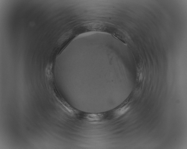 X0000073390239200608181011