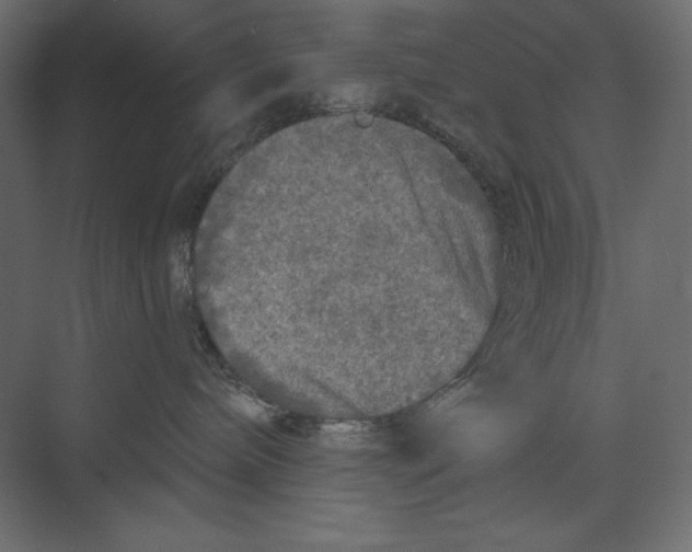 X0000073390240200608181011