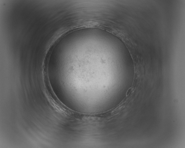 X0000073390242200608181011