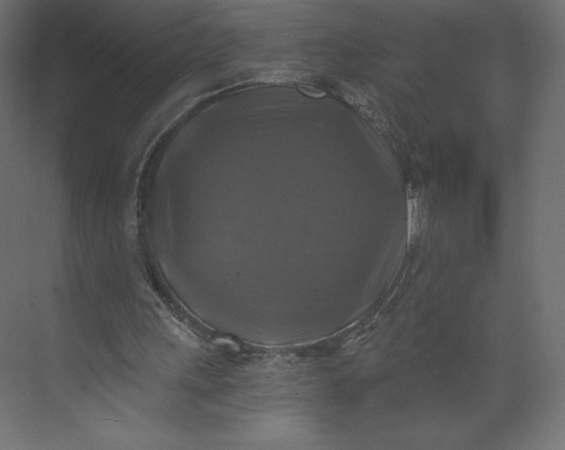 X0000073390243200608181011