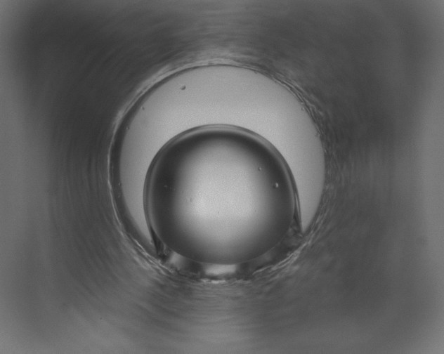 X0000073390244200608181011
