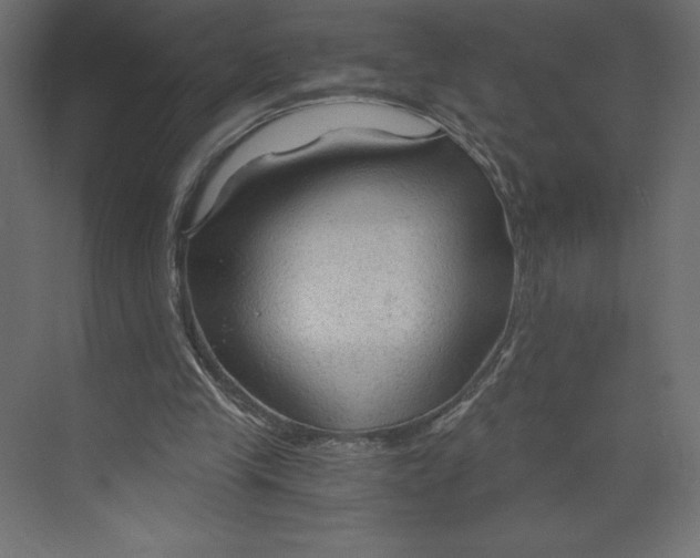 X0000073390245200608181011