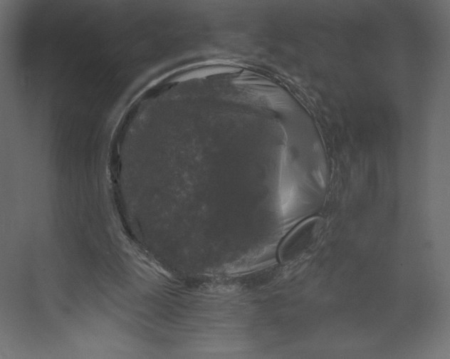 X0000073390247200608181011