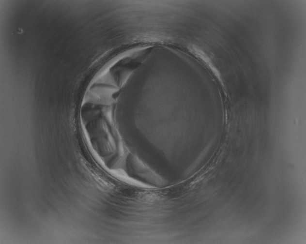X0000073390249200608181011