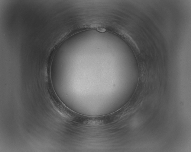 X0000073390251200608181011