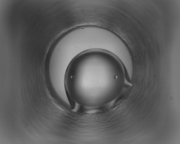 X0000073390252200608181011