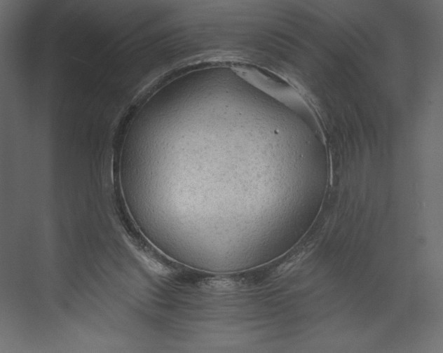 X0000073390253200608181011