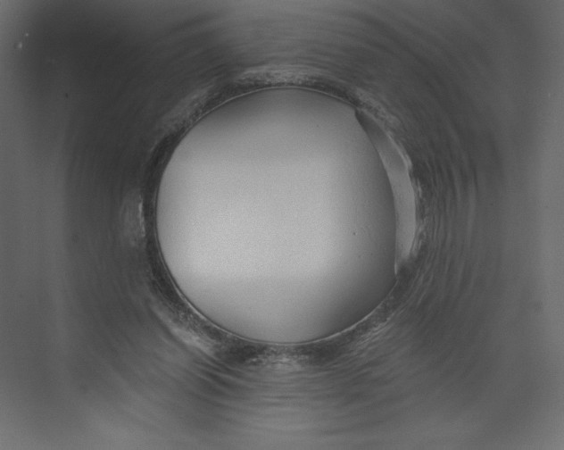 X0000073390254200608181011