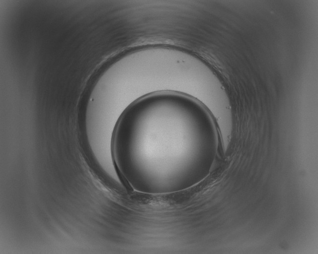 X0000073390256200608181011