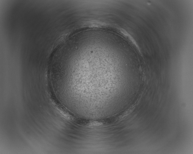 X0000073390257200608181011
