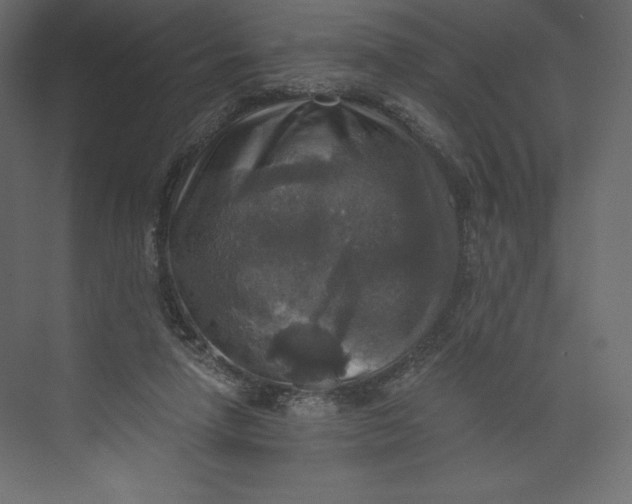 X0000073390258200608181011