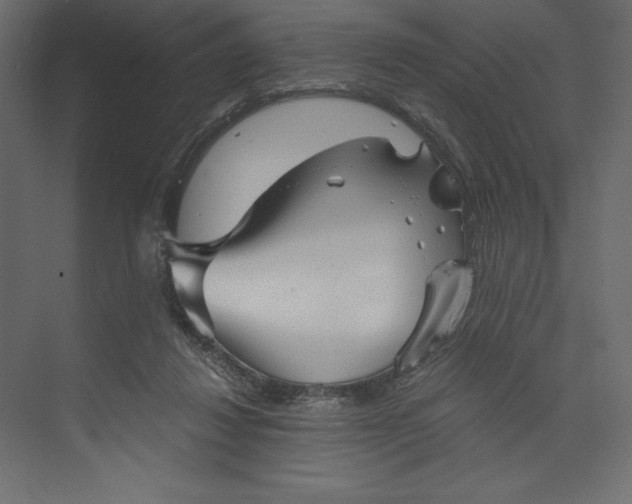 X0000073390260200608181011